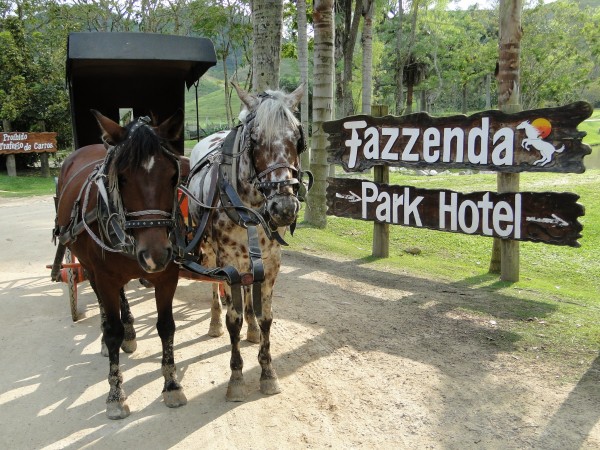 Fazzenda Park Hotel
